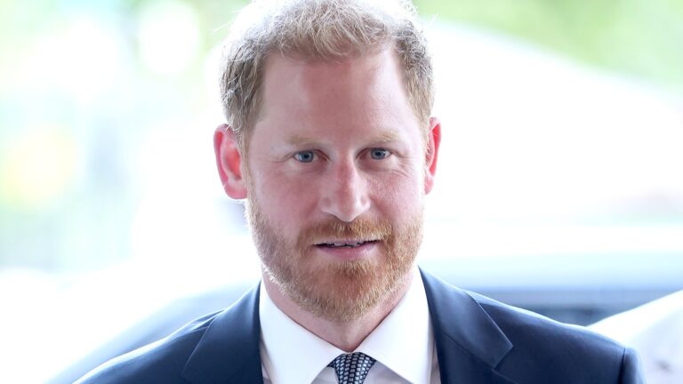 Prince Harry Set The Record Straight On His Reunion With King Charles