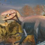 dinosaur