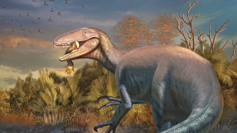 Scientists discover a new dinosaur from Argentina with a crocodile bone in its mouth