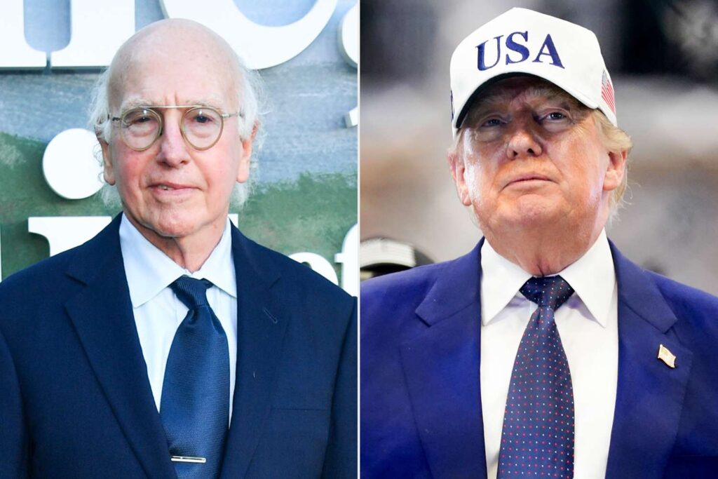 Celebrities Condemn White House UFC ‘Freedom 250’ — Larry David Calls It a ‘Travesty’