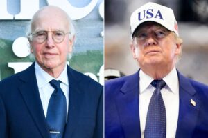 Celebrities Condemn White House UFC ‘Freedom 250’ — Larry David Calls It a ‘Travesty’