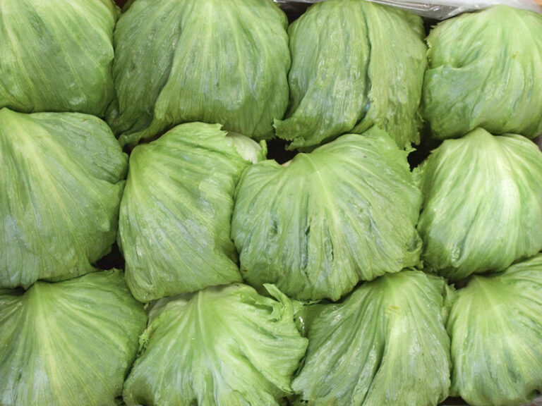 Lettuce Recall Expanded as Cyclospora Outbreak Grows — What Consumers Need to Know