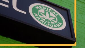 Medical Cannabis Laws Linked to Fewer Health-Related Work Absences — What Employers and Policymakers Should Know