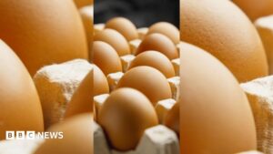 UKHSA Declares National Salmonella Outbreak: What the Public Needs to Know