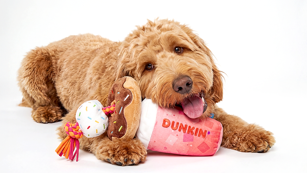 Dunkin’ and BARK Turn National Dog Day Into a Drive‑Thru Celebration — How Brand Partnerships, Pets and Purpose Intersect