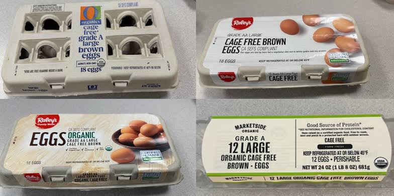 UK Salmonella Outbreak Tied to Imported Eggs: What We Know and What to Do